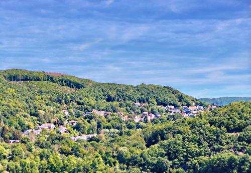 Natur Panorama Suiten am Rursee - Apartment - Heimbach