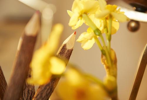 The Stone Barn The Stone Barn
