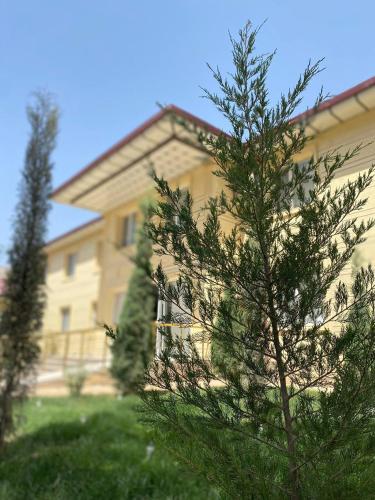 Garden, Tarmita Plaza in Termiz