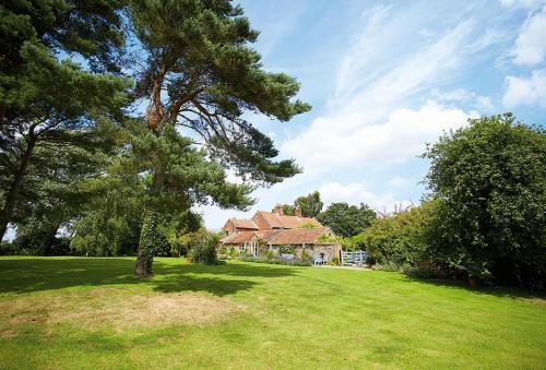 Exterior view, Pear Tree Cottage Norfolk in Wickmere