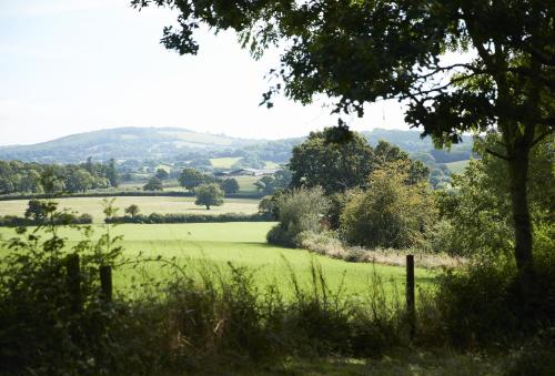 Downclose Piggeries