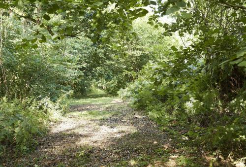 Downclose Piggeries