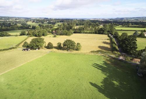 Downclose Piggeries