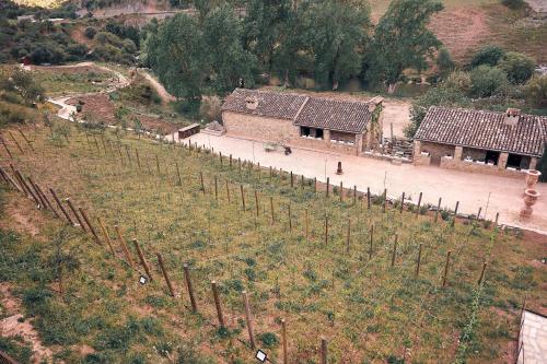 Eco Hotel Cueva del Gato