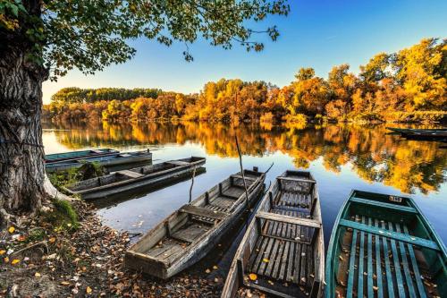 Ympäristö, Nordin Apartman in Mindszent