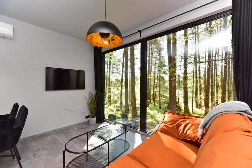 Okružje, Premium Forest Bungalow with Ofuro Tub in Moletai
