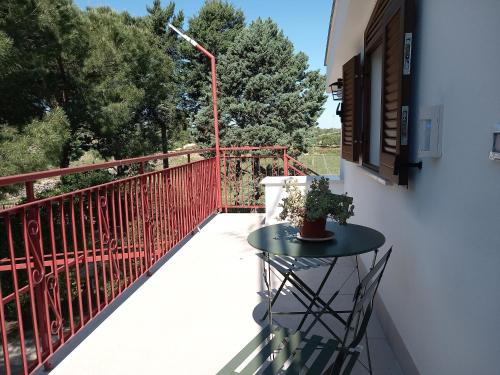 Villa Udi - Apartment - Bitonto