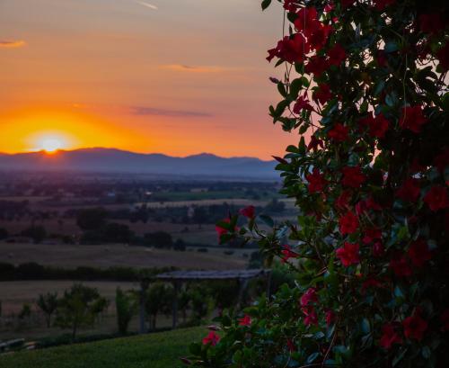 Podere n.8 Bio Casale Maremma