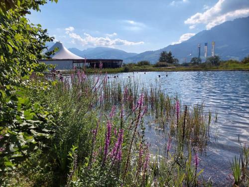 HERZLI-CHALET über dem Rheintal mit Schlossblick