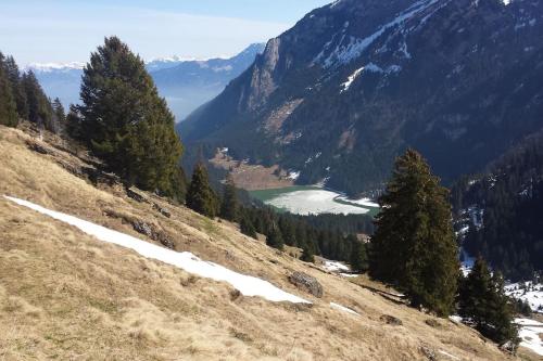 HERZLI-CHALET über dem Rheintal mit Schlossblick