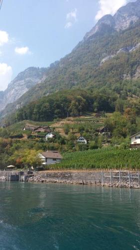 HERZLI-CHALET über dem Rheintal mit Schlossblick 2