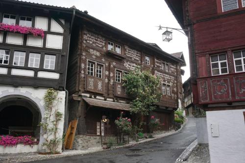 HERZLI-CHALET über dem Rheintal mit Schlossblick