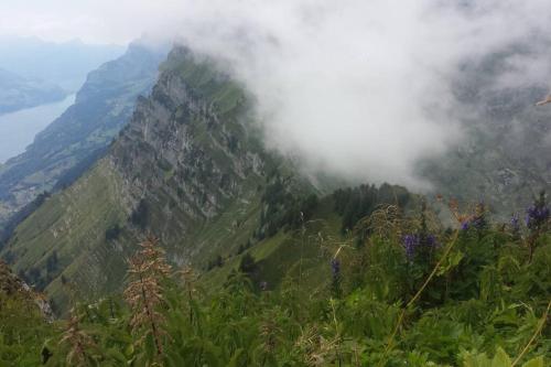 HERZLI-CHALET über dem Rheintal mit Schlossblick