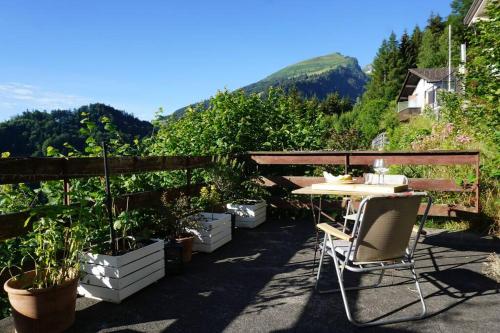 HERZLI-CHALET über dem Rheintal mit Schlossblick