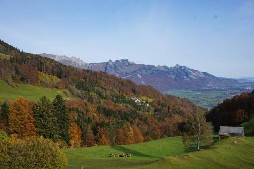 HERZLI-CHALET über dem Rheintal mit Schlossblick