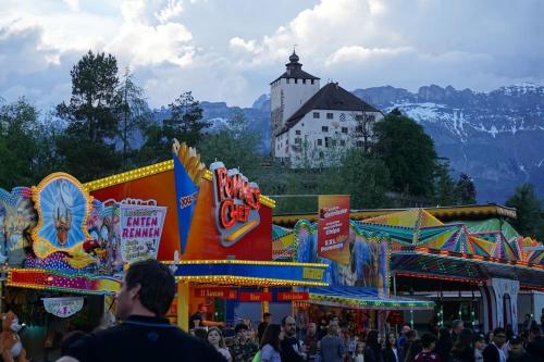 HERZLI-CHALET über dem Rheintal mit Schlossblick