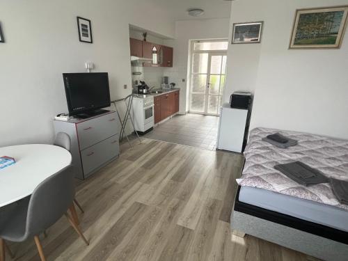 Apartman Discoveryou in Rajec-Jestrebi