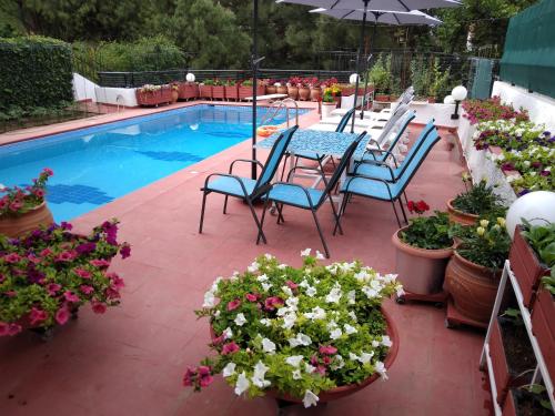 Villa in Panorama, Thessaloniki, with a swimming pool. Host: Mr. George, Thessaloniki (Foto 5)