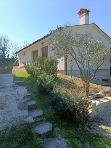 House in Istria, Plomin (Foto 2)