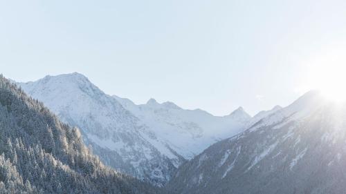 Haus Gleinser - Neustift im Stubaital