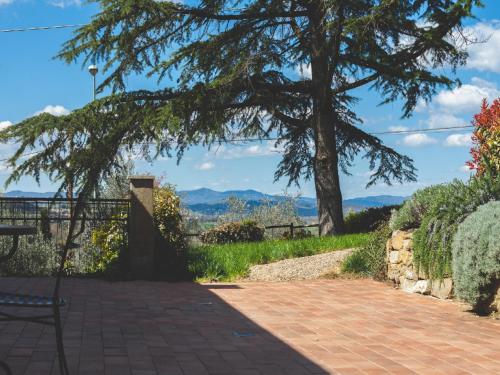 Kert, Agriturismo La Collina Toscana in Pieve A Maiano