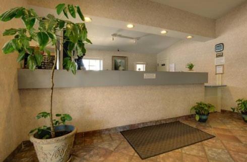 Edinburg Executive Inn - image 3
