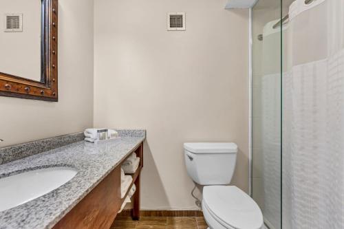 Buffalo Airport Hotel - image 14