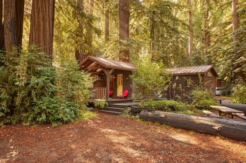 Big Sur Campground and Cabins