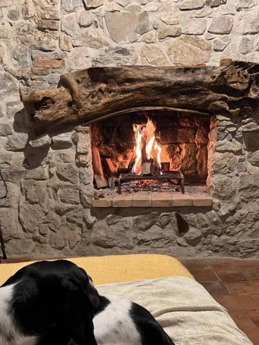 La casa del Teatro - Apartment - Campiglia dʼOrcia