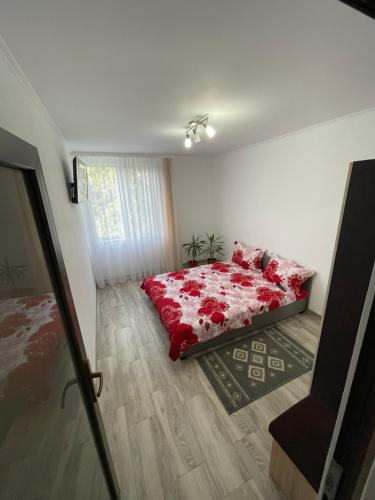 Apartament olimp 2 camere