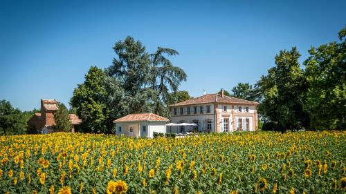 B&B Lacourt-Saint-Pierre - Gite ANDA- piscine- Montauban - Lacourt-Saint-Pierre - Bed and Breakfast Lacourt-Saint-Pierre