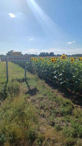 Lovely 4-Bed House in rural West France