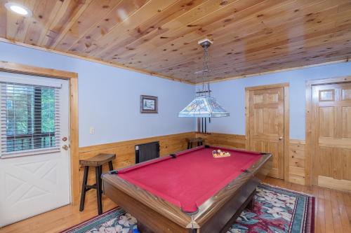 ER223 - Young's Hideaway cabin - image 5