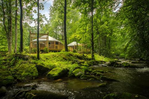 Spring Ridge Luxury Yurt - Creekside Glamping with Private Hot Tub