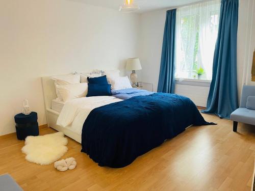 B&B Zürich - Cozy Home Apartment - Bed and Breakfast Zürich