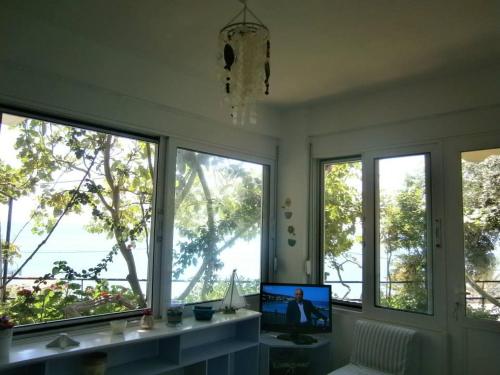 Instalações, LEMONELIA, one big,4-5 people and one small apartment ,2-3 people in Paralia (Fanari)
