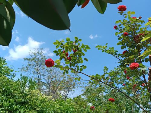  B&B Villa Lidia in Acireale