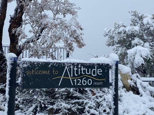 Altitude 1260