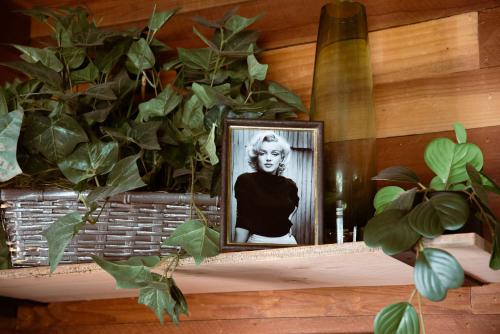 Old Hollywood Lodge-Pets, HotTub-Sauna, Speakeasy! Old Hollywood Lodge-Pets, HotTub-Sauna, Speakeasy!