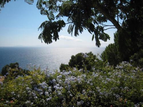 Villa Cavalaire-sur-Mer, 2 pièces, 4 personnes - FR-1-100-202