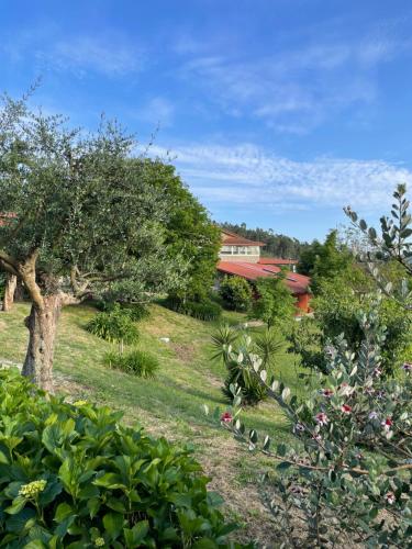  Propriedade do Pires in Guimarães