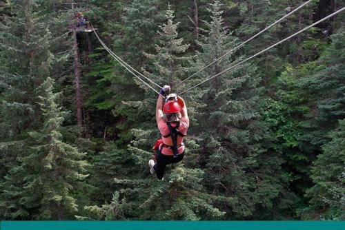 Old Hollywood Lodge-Pets, HotTub-Sauna, Speakeasy! Old Hollywood Lodge-Pets, HotTub-Sauna, Speakeasy!