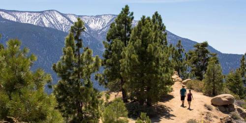 Old Hollywood Lodge-Pets, HotTub-Sauna, Speakeasy! Old Hollywood Lodge-Pets, HotTub-Sauna, Speakeasy!