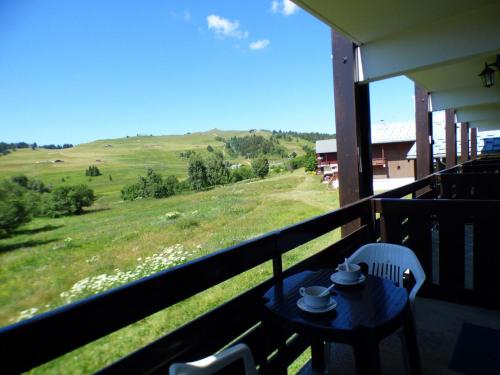 Appartement Les Saisies, 1 pièce, 4 personnes - FR-1-594-147