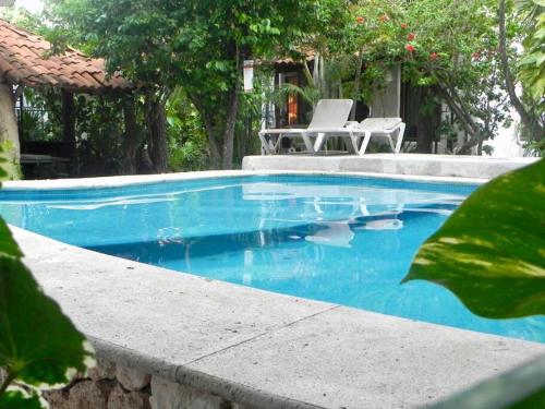 The Tropical Jungle Oasis in Cancun
