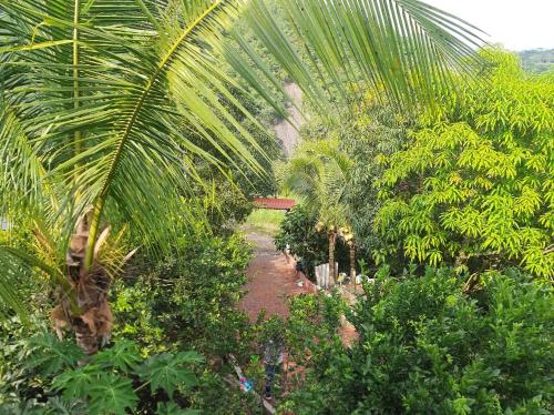 FINCA EL PROGRESO cabañas tipo apartamento FINCA EL PROGRESO cabañas tipo apartamento
