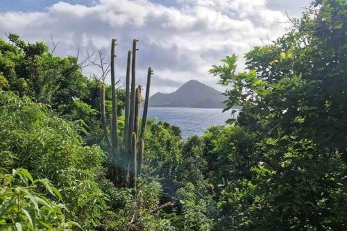 Villa Salako, Terre-de-Bas - Bas de Villa in Terre-de-Haut