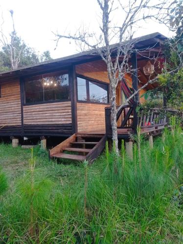 El rinconcito del bosque