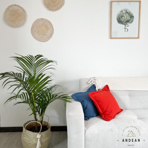 One-Bedroom Apartment image 2