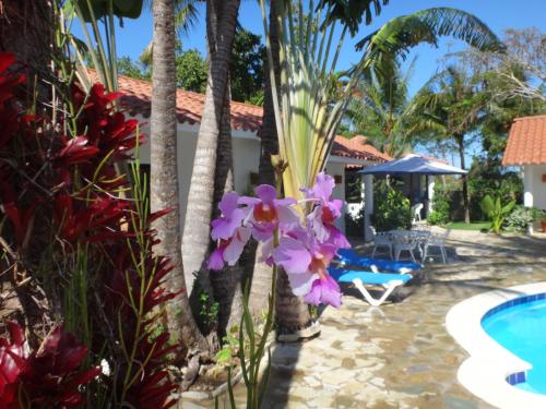 Garden By The Sea
